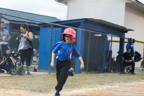 Image for Parks and Rec Major League Baseball Ages 7-8