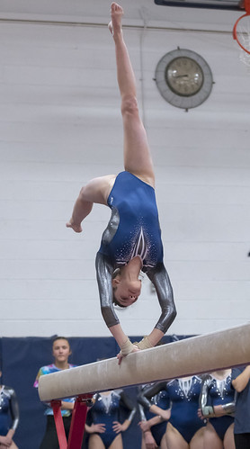 Picture for Gymnastics Elites