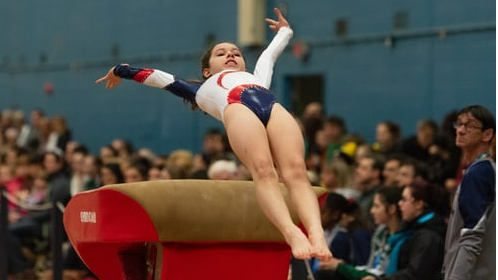 Picture for: Gymnastics Pre-Team