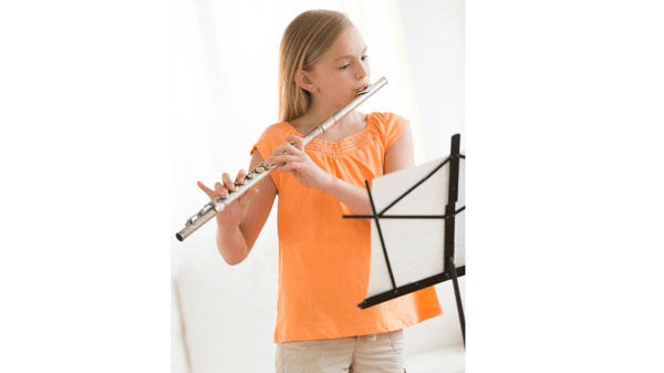 Course Band Individual Instrument Lessons-Gr 5 - College Students image 1