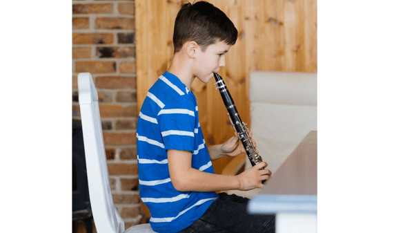 Picture for: Band Individual Instrument Lessons-Gr 5 - College Students