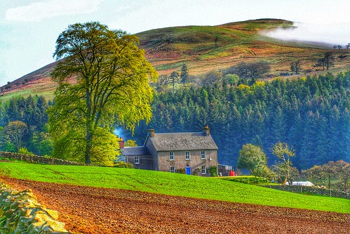 Rural idyll.