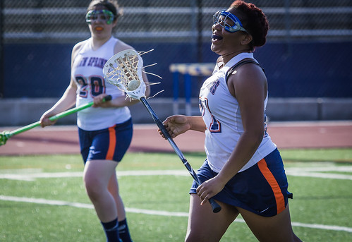 Picture for: Lacrosse - Girls Summer Lacrosse Gr 5-8
