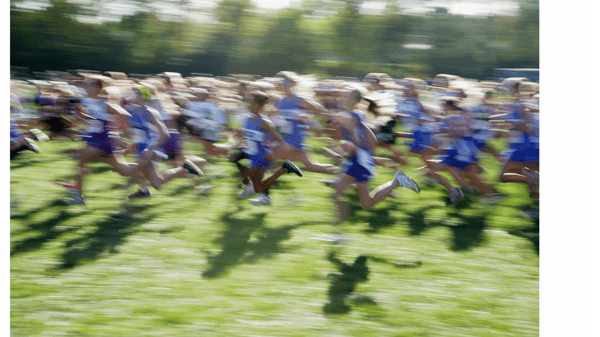 Picture for: Brainerd Youth Cross Country Gr 1-6