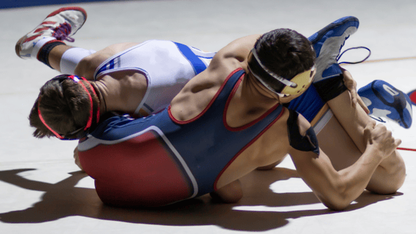 Picture for: Wrestling - Mat Monsters (Gr 1-4)