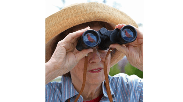 Picture for: I Want to be a Bird Detective