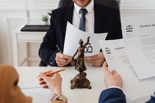 Picture for: Free Questions and Answers With a MN Will and Trust Planning Attorney