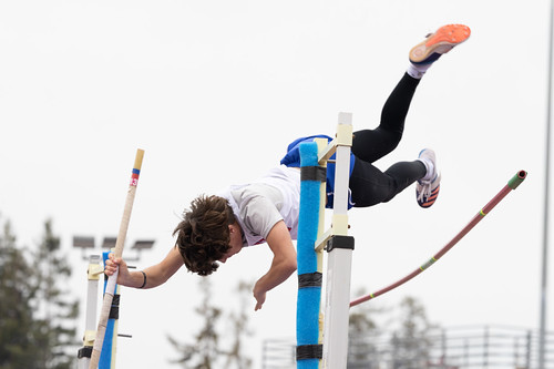 Picture for: Summer Pole Vault