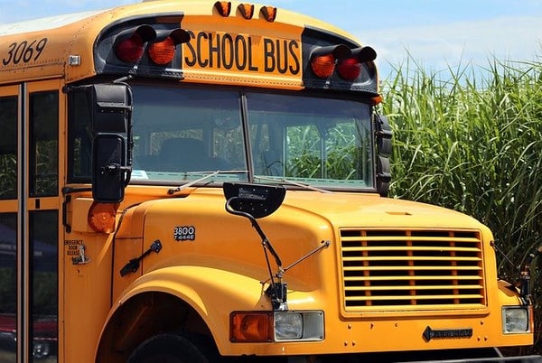 Picture for: Bus Routes