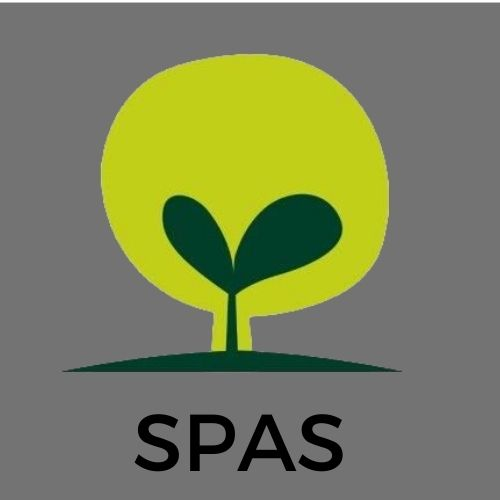 Picture for: SPARK After School