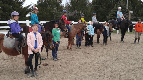 Picture for: HORSEBACK LESSONS (Western Style)