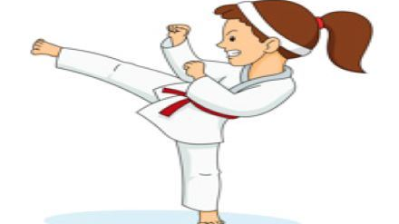 Picture for KARATE - PEEWEE