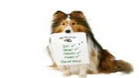Picture for: Dog Obedience