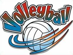 Picture for Volleyball