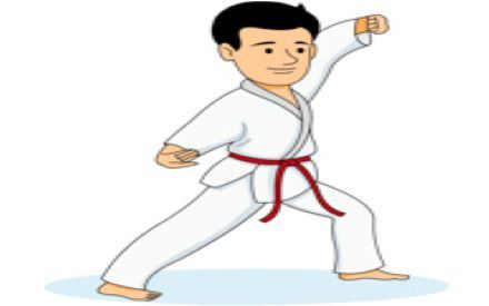 Picture for Karate