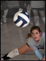 Picture for: Youth Volleyball