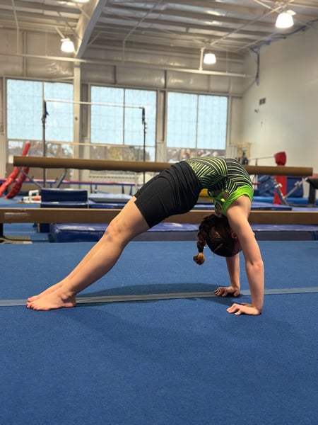 Picture for Gymnastics Classes