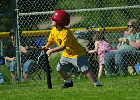 Picture for: Tee Ball Tots
