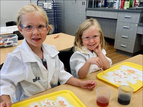 Picture for Enrichment | Special Interest