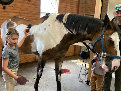 Picture for Week-Long Horse Day Camp | age 6-15