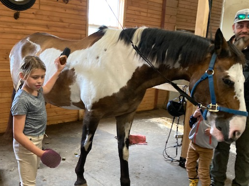 Picture for Horseback Riding Day Camp | age 6-15