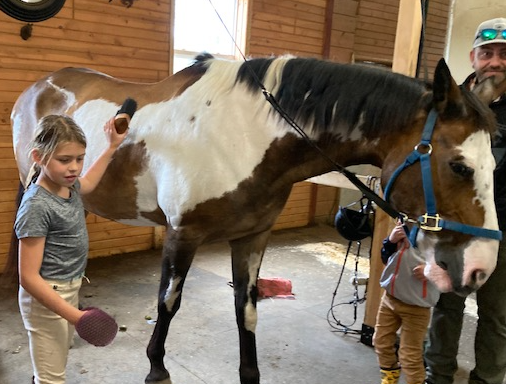 Picture for: 3-Day Horse Camp | age 6-15