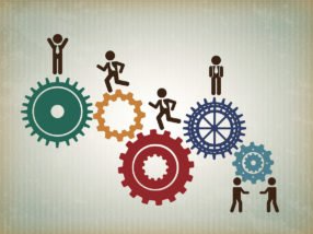 Picture for Your Role in HR