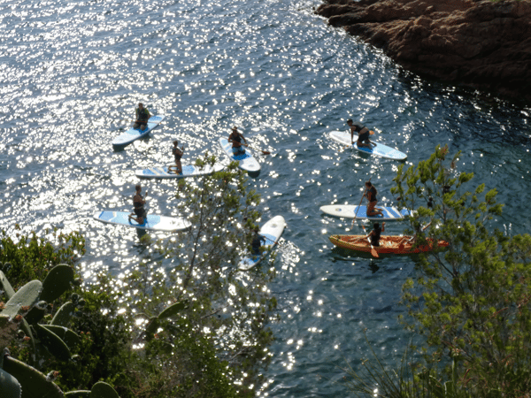 Picture for Paddle Technique | age 13+
