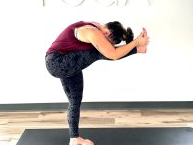 Picture for Hot Fusion