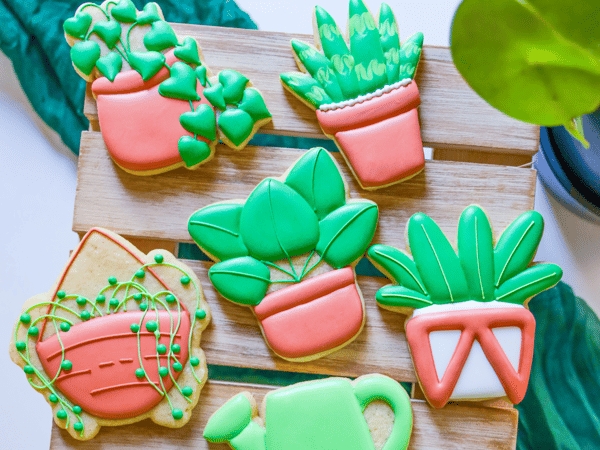 Picture for Sugary Shrubs Cookie Decorating