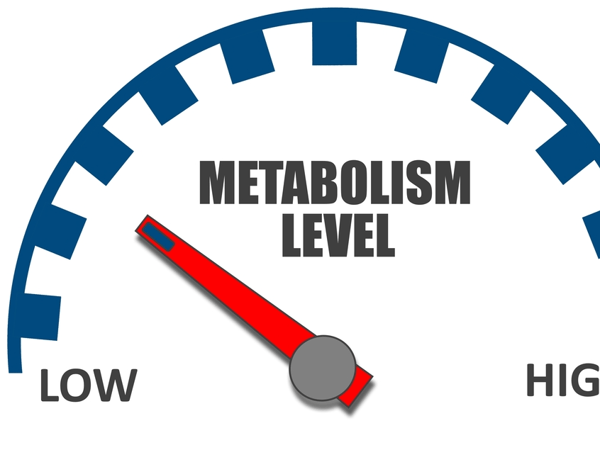 Picture for Metabolism Boosters and Busters