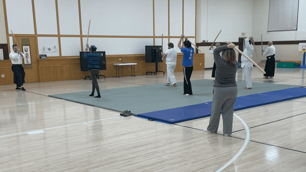 Picture for Traditional Japanese Martial Art, Aikido