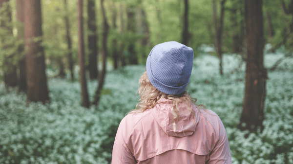 Picture for Forest Bathing