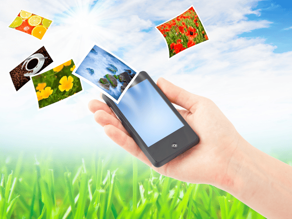 Picture for Phone Photo Rescue Workshop for Beginners!