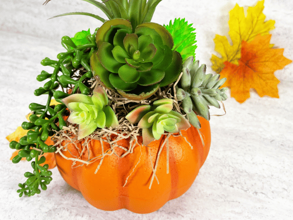 Picture for: Faux Succulent Pumpkin