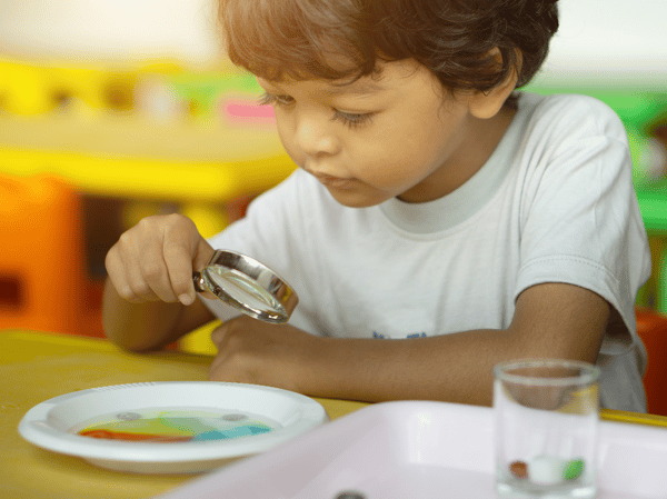 Course Little Veterinary School - Dogs | Age 3-5 image 1