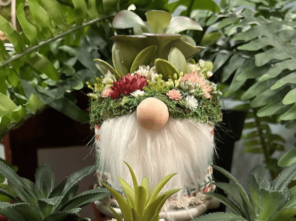 Picture for Botanical Gnome Planter