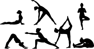 Picture for: Hatha Yoga and Beyond: Unwind, Recharge and Strengthen with Asana, Breathwork and Meditation