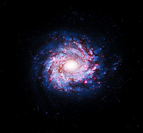 Hubble sees pinwheel of star birth. October 19th, 2010. Original from NASA. Digitally enhanced by rawpixel.