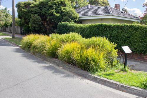 Raingarden on Irymple Avenue at intersection with Kilby Road, Kew East