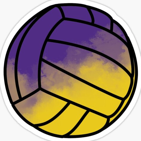 Picture for Volleyball Gr 7-12, Open Gym/Skills