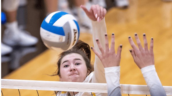 Picture for: SCSU Volleyball Clinic
