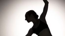 Course Beginner Dance Technique image 1