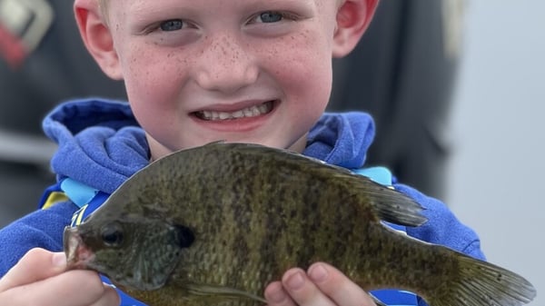 Picture for: School of Fish