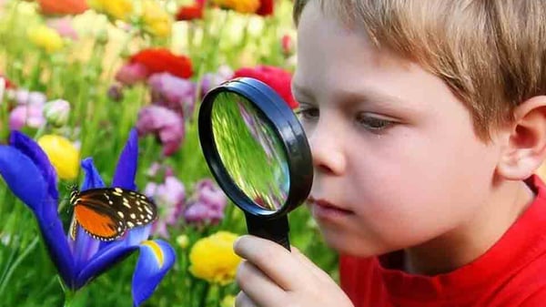 Picture for: Preschool Nature Explorers
