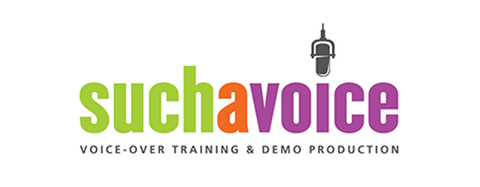 Course Voice Overs...Now Is Your Time! image 1