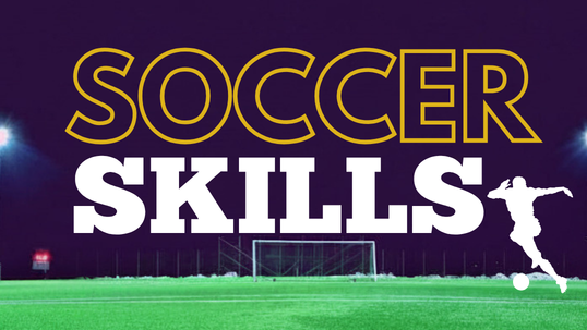Picture for: Soccer Skills