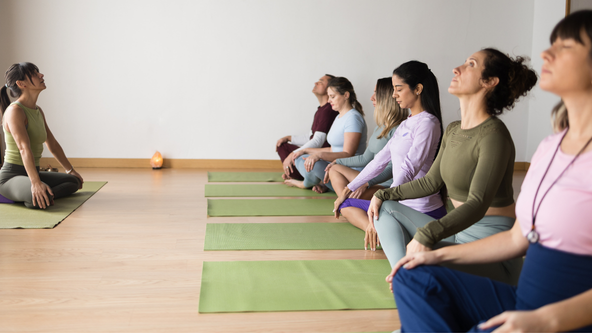 Picture for: Vinyasa (Flow Yoga)
