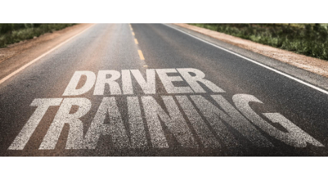 Course Driver's Training (Segment 1) image 1