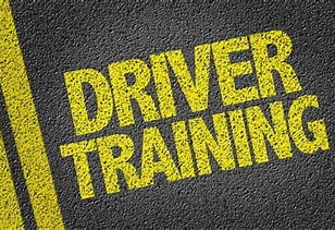 Image for Driver's Training (SEGMENT 01)